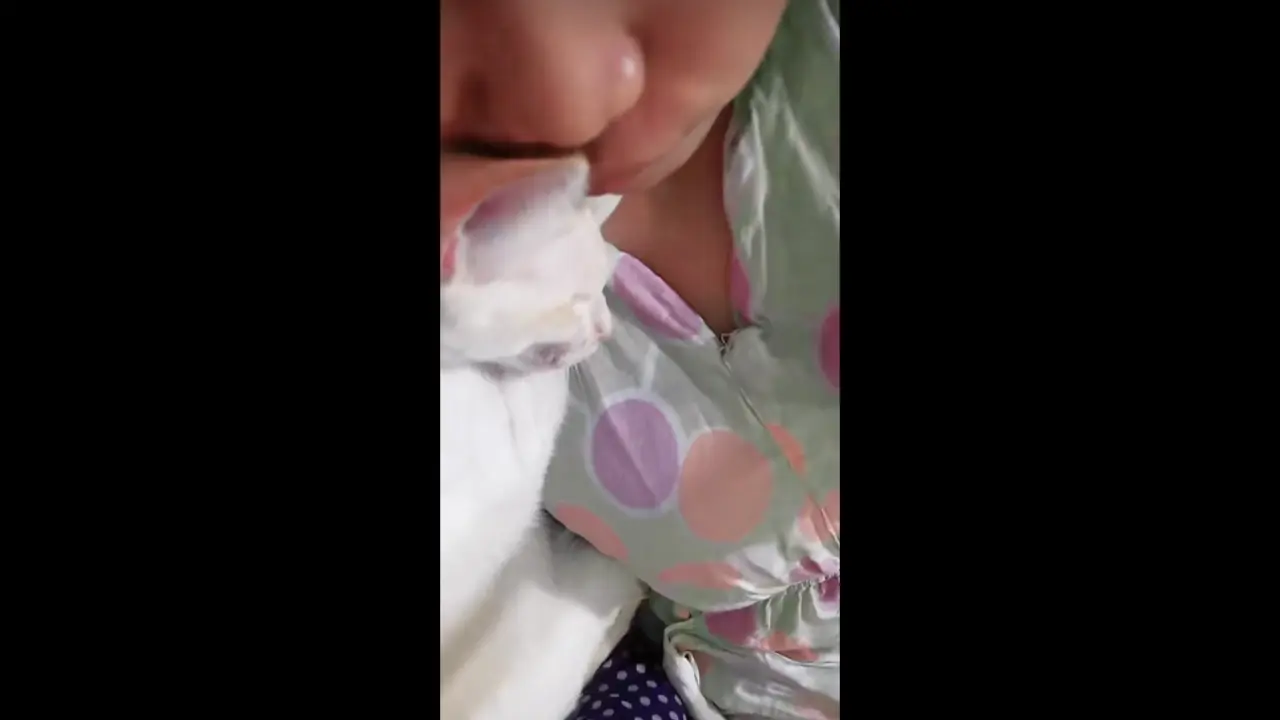 SMA HIJAB CANTIK VCS viral