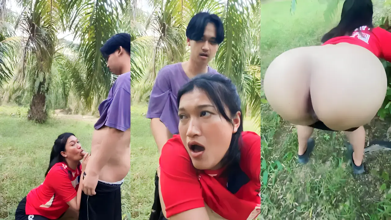 Pohon sawit saksi bisu kenangan ngewe di sana