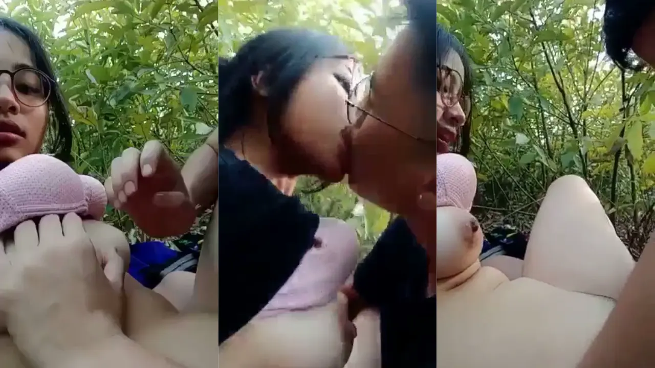 Kebun teh  yang asri