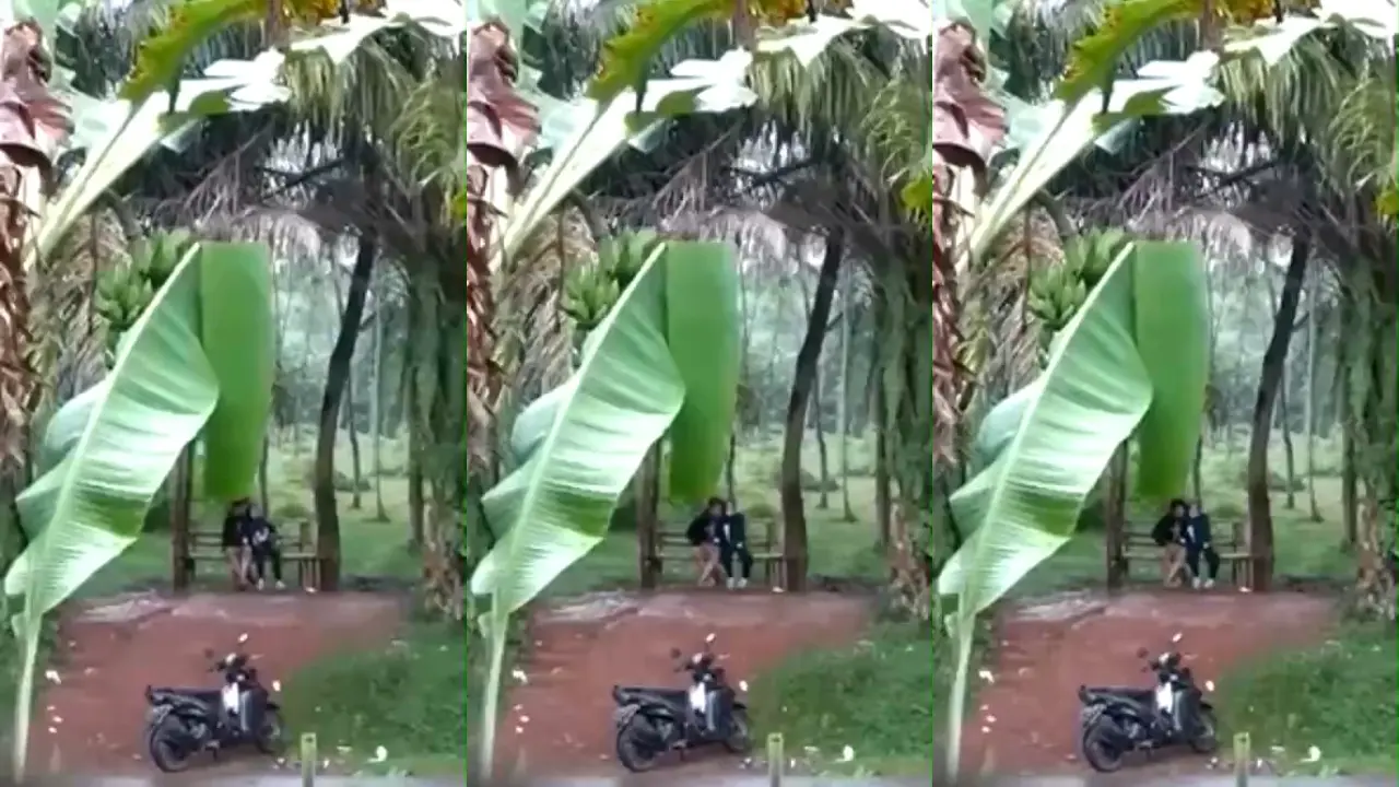 Pacaran Di Kebon Terekam