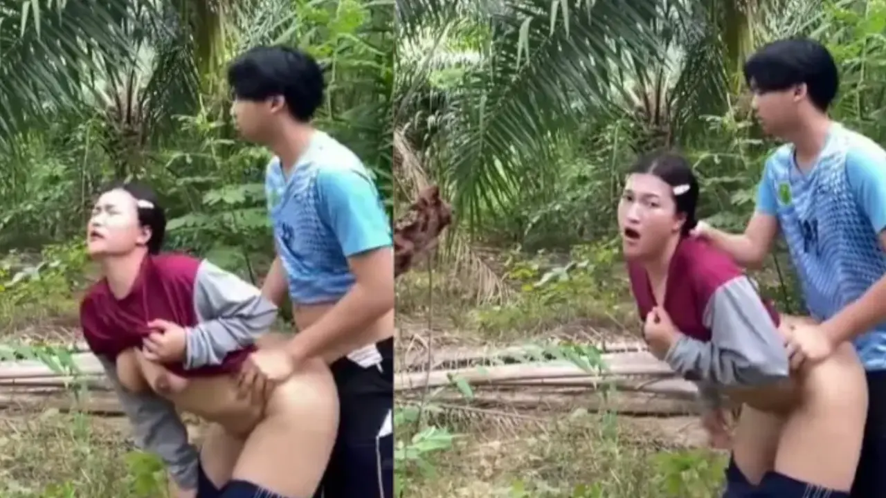 Ngewe dikebun sawit