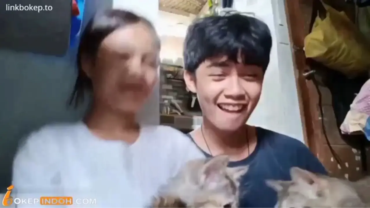 Kucing nya lucu ya dek, ehh malah ngentod tu dia berdua