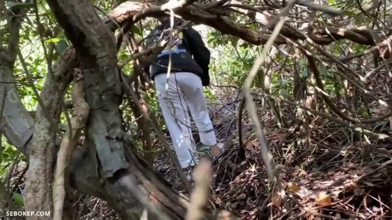 Bokep Indo Cewek Abg Ngentot Di Hutan